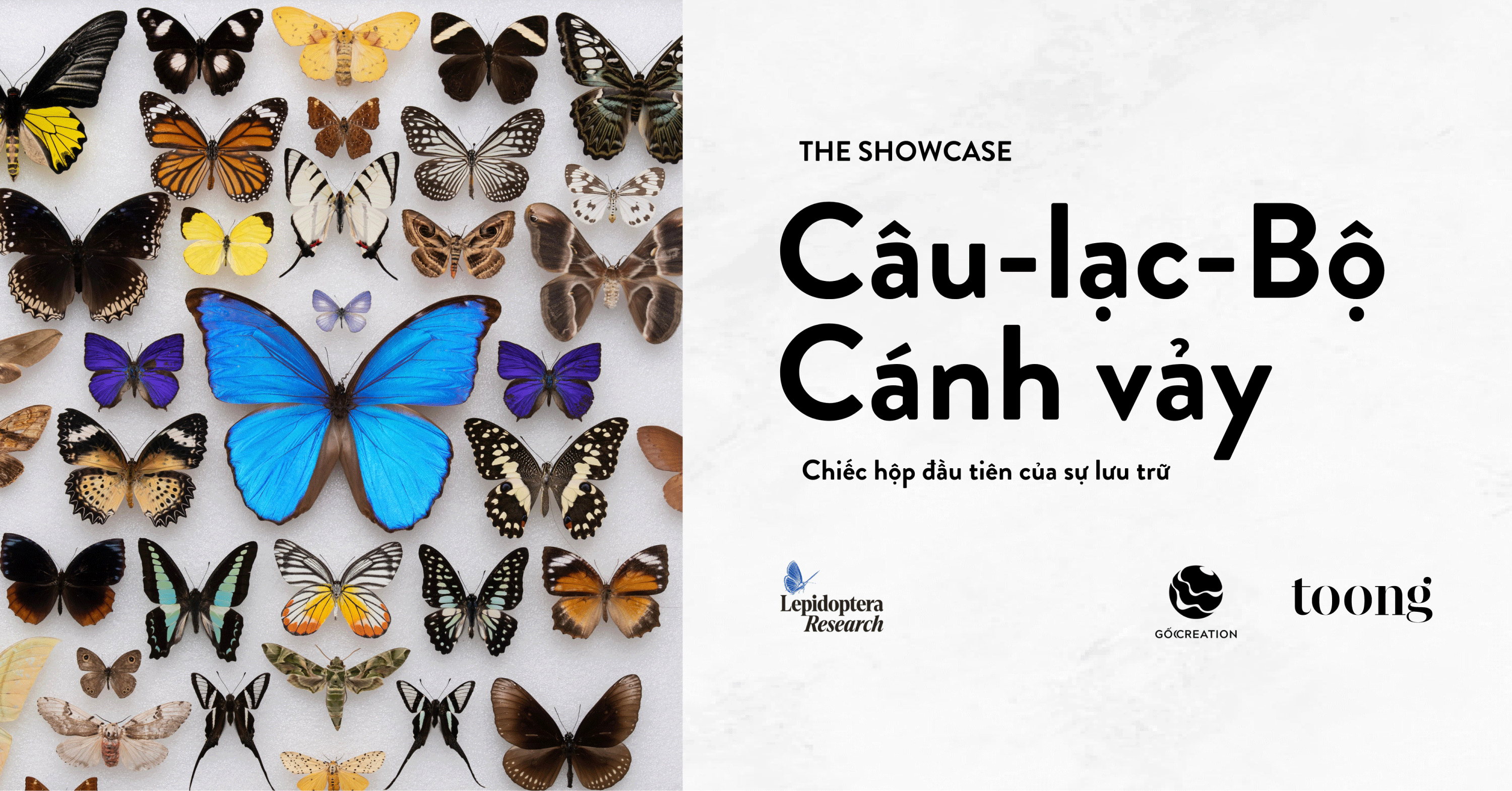 CÂU LẠC BỘ CÁNH VẢY